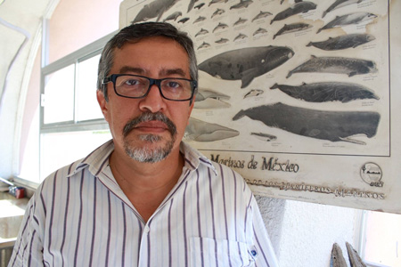 Dr. Gerardo González Barba, Paleontogist, Dir. Museo de Ciencias Naturales de la UABCS
