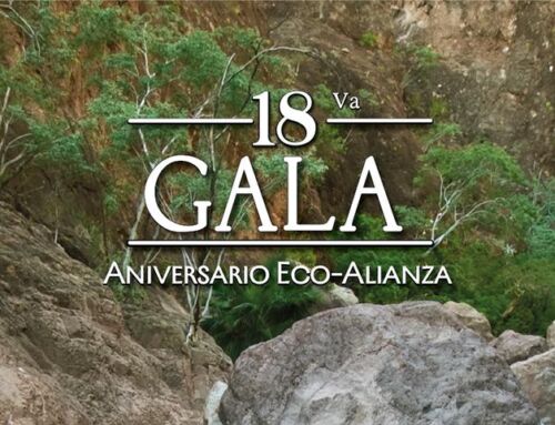 La Gala del 18º Aniversario está a la vuelta de la esquina
