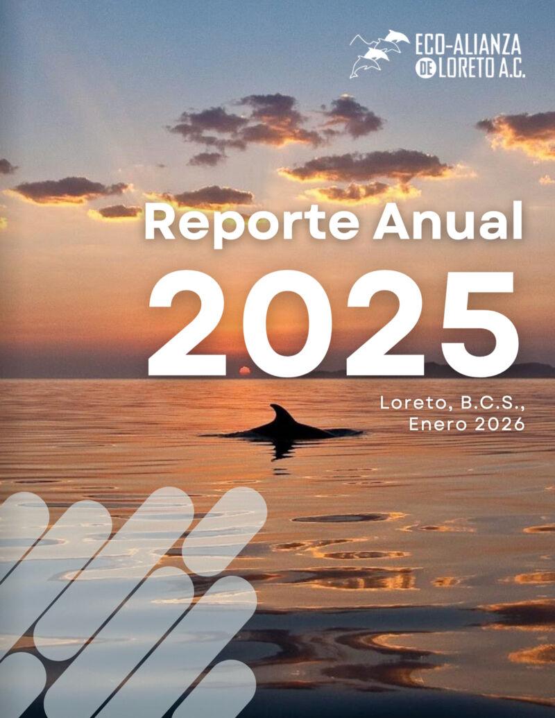 Reporte-Anual-2025-espanol-1