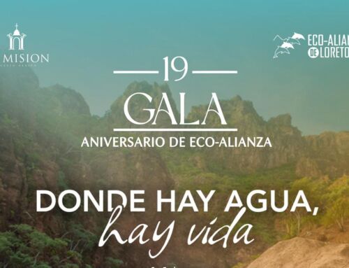 Protegiendo a Loreto hoy y Celebrando 19 años juntos